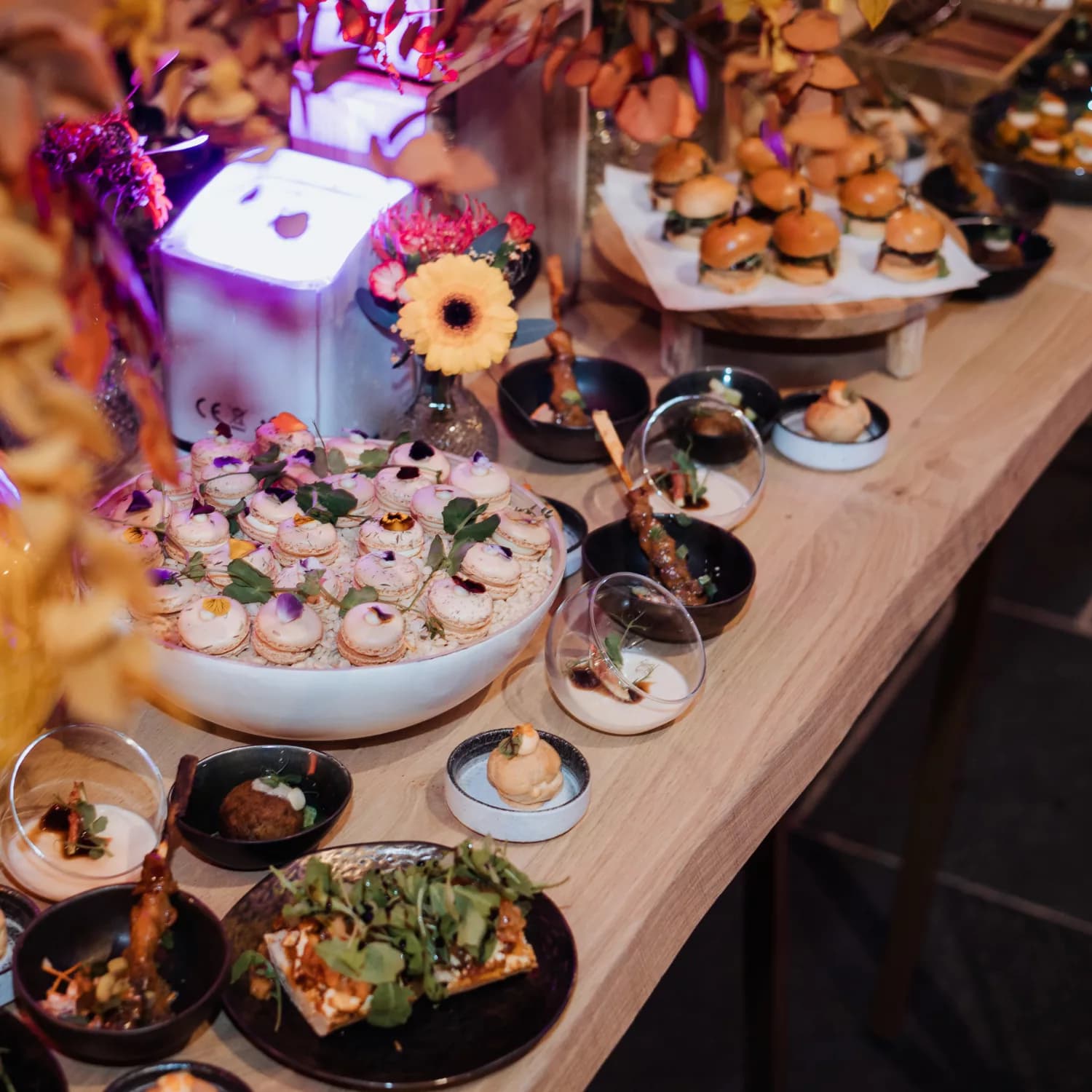 Walking dinner catering Oudenaarde